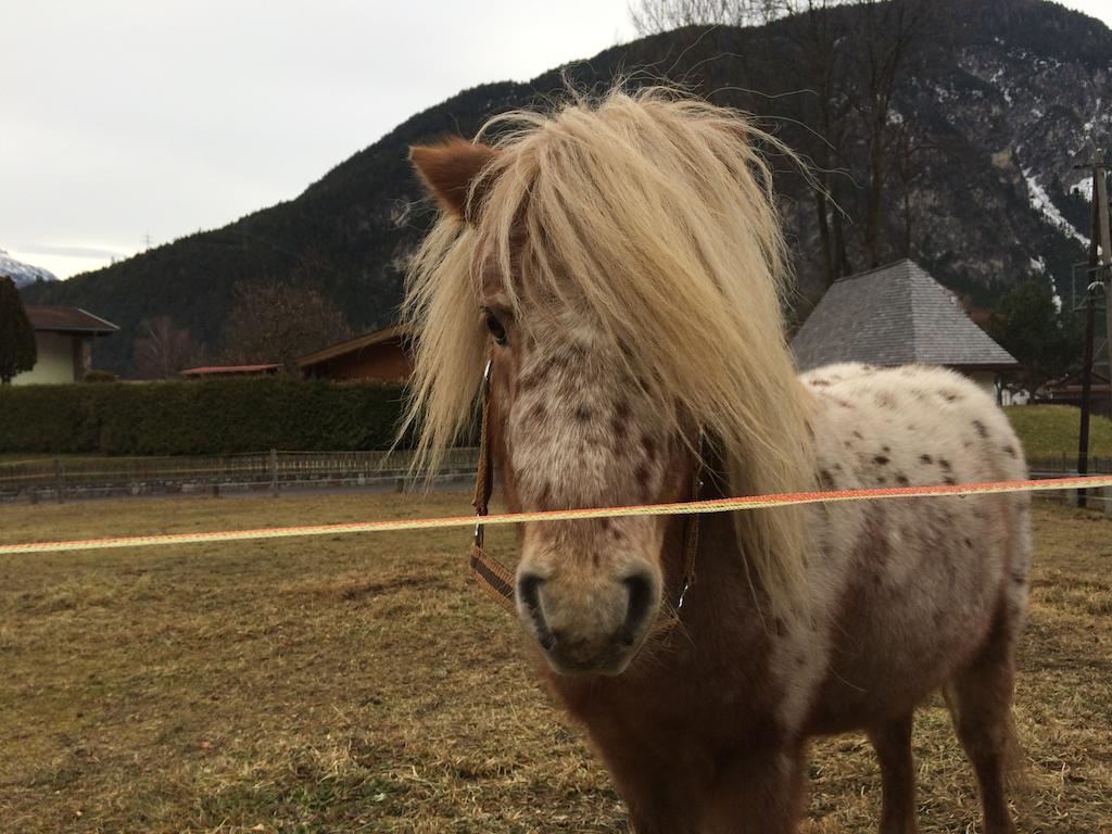 肖勒住宿加早餐旅馆 那塞雷思 外观 照片
